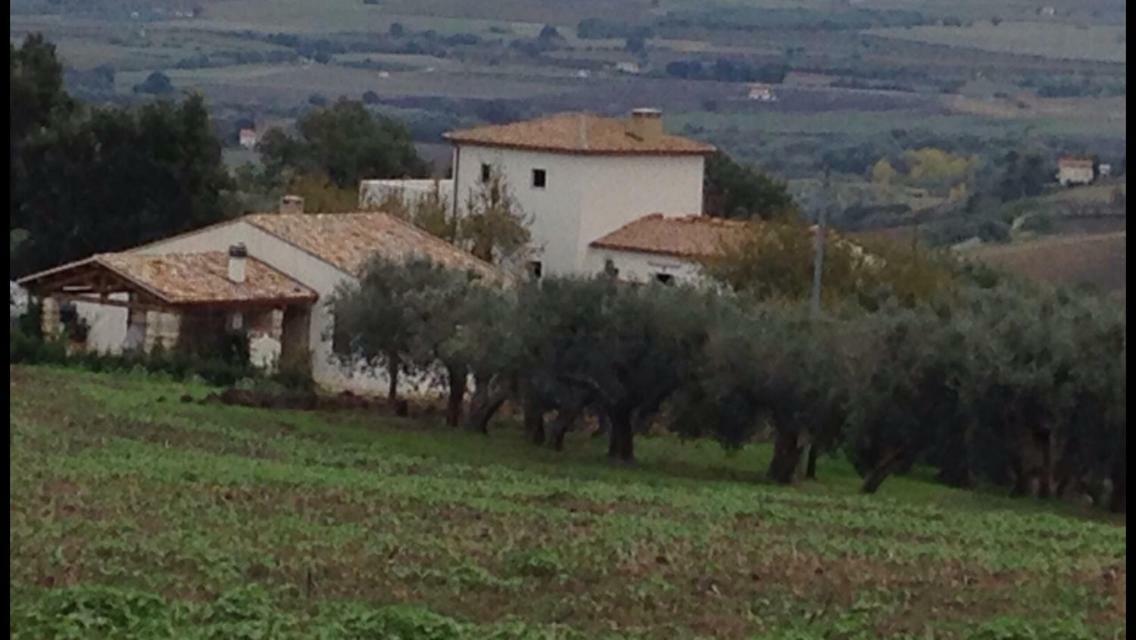 Villa Angiolina, Molise Guglionesi エクステリア 写真